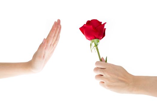 Hand Refused the gift, When hand of sender give flower to recipient that making hand signals to decline, isolated on white background