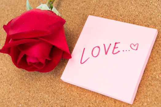 Single red rose with post it with word "love" writing on , corkboard background