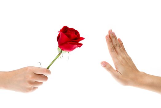 Hand Refused the gift, When hand of sender give flower to recipient that making hand signals to decline, isolated on white background