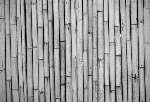 close-up of bamboo fence background in the park, outdoor, black and white