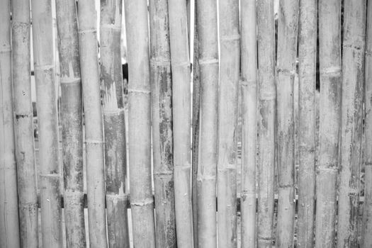 close-up of bamboo fence background in the park, outdoor, black and white