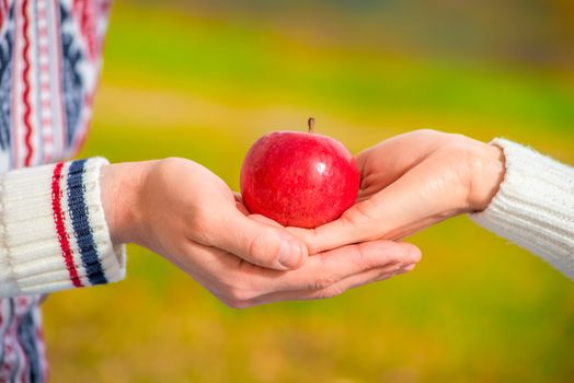 ripe juicy apple in the hands of a loving couple close-up