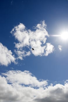 single bird flying in the beautiful cloudy blue sky in Ireland