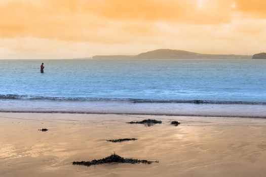 lone fisherman wading in the river Shannon county Kerry Ireland