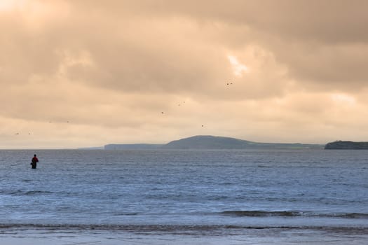 lone fisherman wading in the river Shannon county Kerry Ireland