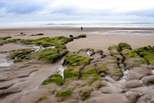 girl walking near unusual mud banks at Beal beach in county Kerry Ireland on the wild Atlantic way