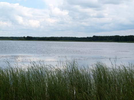 Beauty landscape with lake in summer day