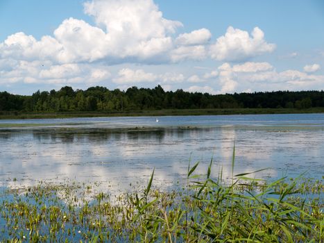 Beauty landscape with lake in summer day