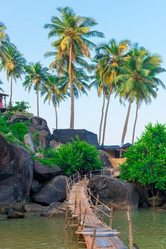 magnificent view of the palm trees and rocky shore