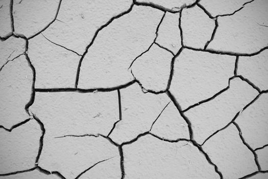 cracked soil ground, drought land so long waterless, close-up, black and white