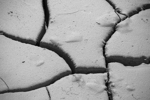 close-up cracked soil ground, drought land so long waterless, close-up, black and white