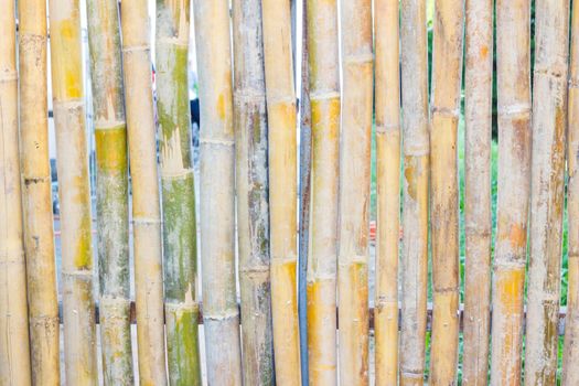 close-up of bamboo fence background in the park, outdoor