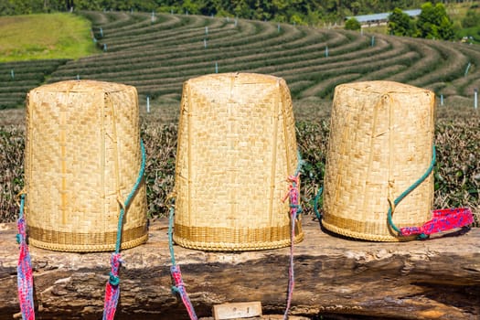 three tea picker bags or basket on big log.