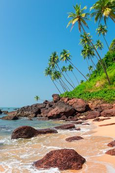 vertical picture of beautiful beach in the tropics