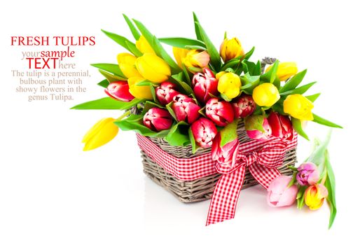 tulips in a basket on a white background