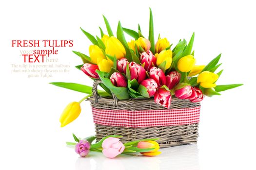 tulips in a basket on a white background