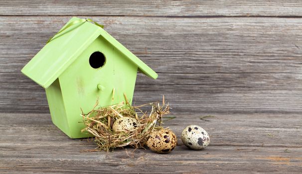 Quail eggs with birdhouse on wooden background