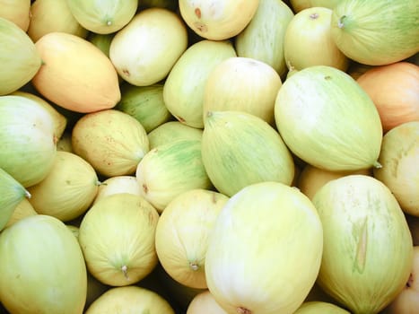 Melons at the outdoor market