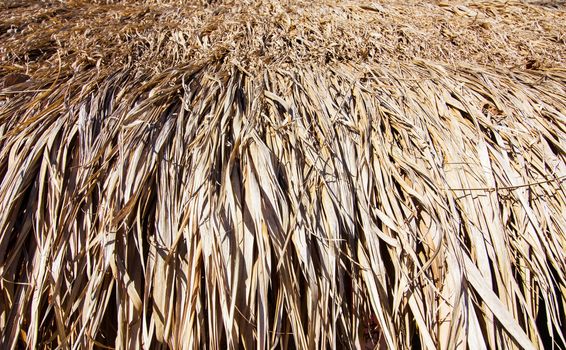 close-up of brown thatch background, roof of thai traditional house