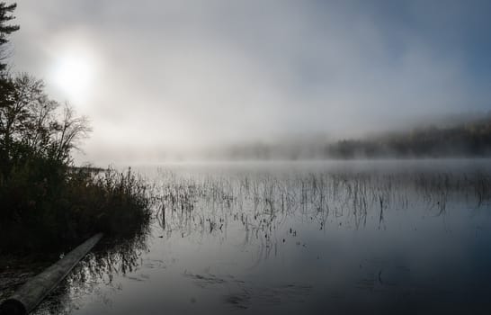 Early morning sunrise burns off the fog which has lingered over the lake.