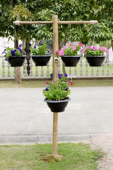 Wood stand with pots of flowers