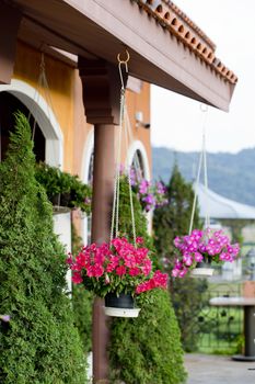 Hanging baskets of flowers at the front porch. Landsc