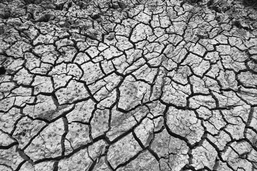 Dried and Cracked ground