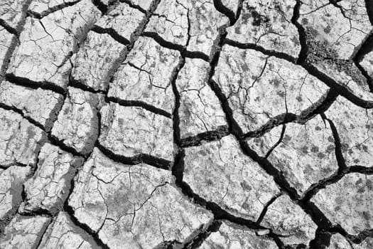 Dried and Cracked ground