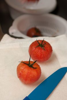 Skinned tomatoes waiting to be chopped.