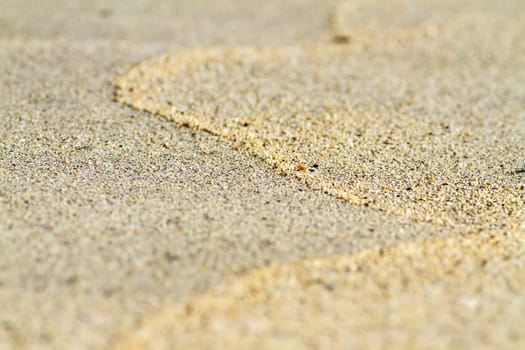 Sandy beach background for summer. Sand texture.
