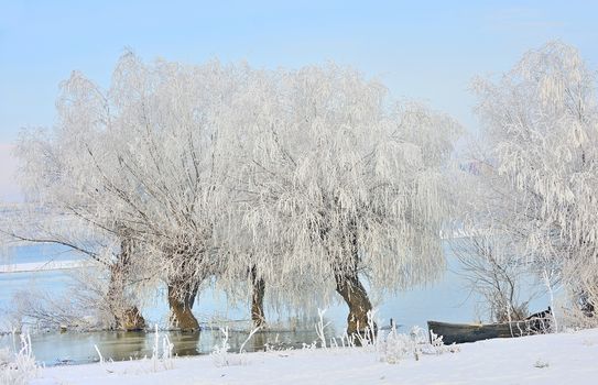 Frosty winter trees and boat near Danube river