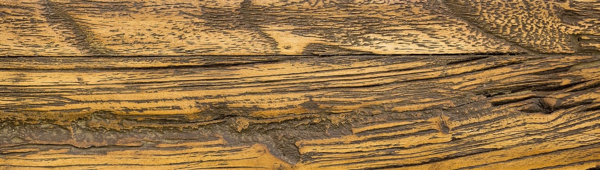 Brown wood texture