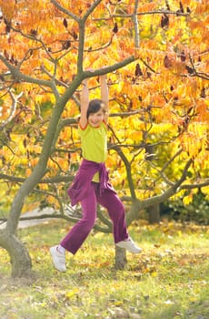 Portrait of a beautiful little girl smiling and hanging on a branch from a tree 