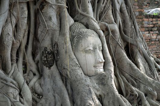 This budhha head can be seen in the The Ayutthaya historical park, which covers the ruins of the old city of Ayutthaya, Thailand. It was declared a UNESCO World Heritage Site in 1991.