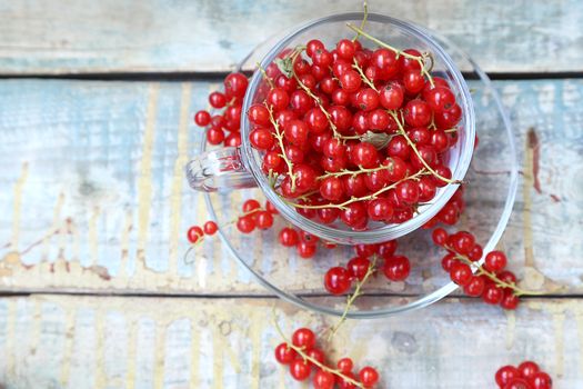 much fresh red currant in a transparent cup