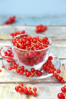 much fresh red currant in a transparent cup