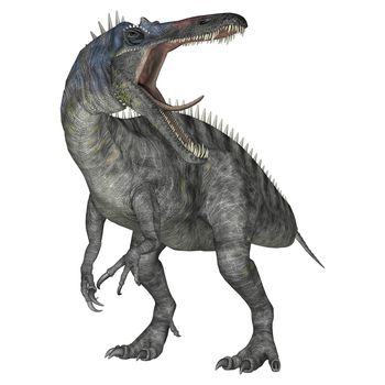 3D digital render of a dinosaur Suchomimus or Suchomimus tenerensis isolated on white background