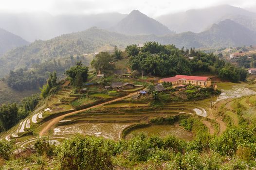 Rice fields on terraced of  Cat Cat Village, Sapa Vietnam.