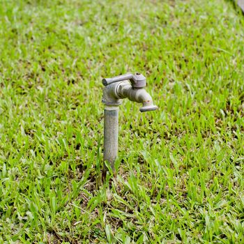 water tap with rubber tube on park