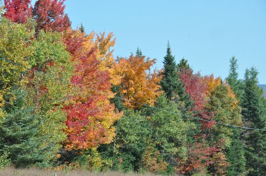 Fall Colors at the White Mountain National Forest in New Hampshire