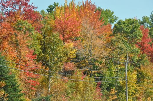 Fall Colors at the White Mountain National Forest in New Hampshire