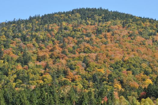 Fall Colors at the White Mountain National Forest in New Hampshire