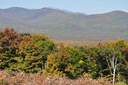 Fall Colors at the White Mountain National Forest in New Hampshire