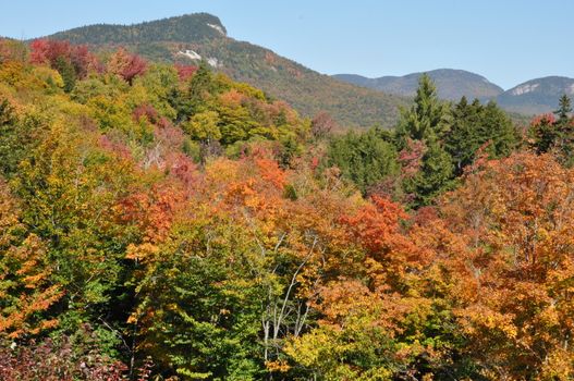 Fall Colors at the White Mountain National Forest in New Hampshire