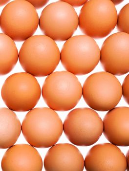 eggs background