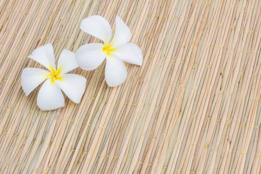 White Plumerias on thai traditional mat