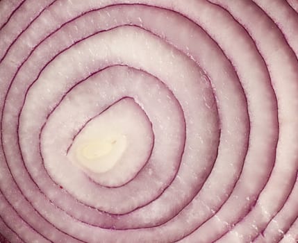 sliced red onion on white background