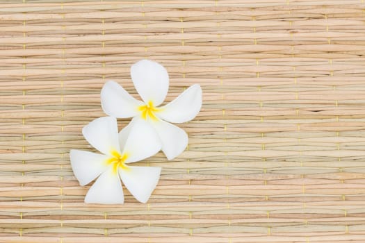 White Plumerias on thai traditional mat