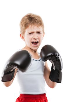 Smiling boxer child boy in boxing gloves training martial art sport white isolated
