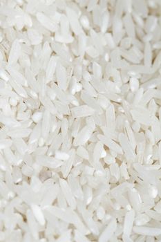 Close up phot lot of white rice